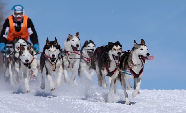 Poznajcie Team Surówka! 
