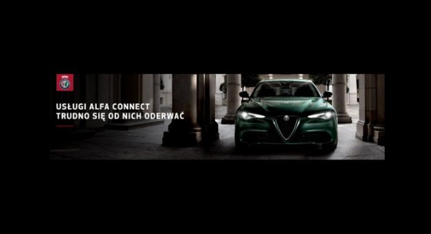 Usługi Alfa Connect Services- dlaczego warto z nich korzystać?
