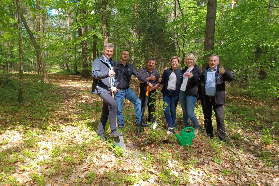 sadzenie lasów Sobiesław Zasada
